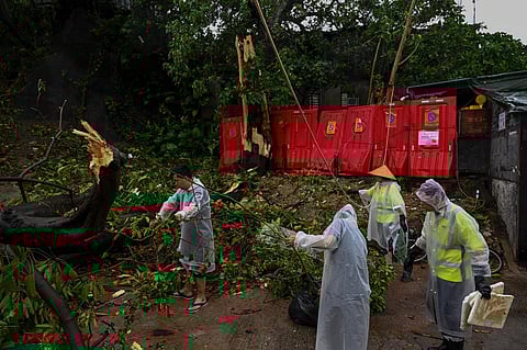 People clear debris near houses after Typhoon Saola struck the city with strong winds and rain, in Hong Kong. (Photo | AP)