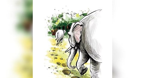 Image used for representational purposes. (Express illustrations)