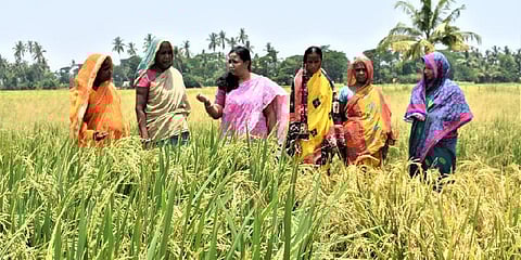 Agriculture scientist Swati Nayak with women farmers