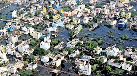 CMDA has partnered with The Nature Conservancy to implement ‘Greenprint for Chennai’ to enhance the urban green cover and protect the waterbodies | EXPRESS