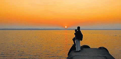 Perumbalam. (Photo | Harikrishnan M S)