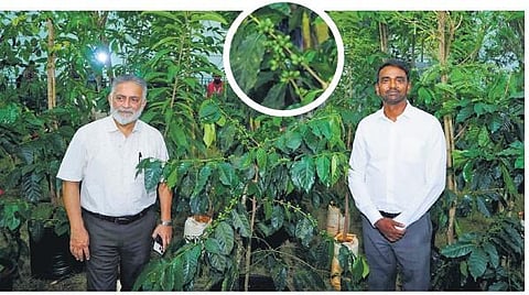 Dr KG Jagadeesha (Left), CEO and secretary of the Coffee Board of India, during the inspection of the upcoming World Coffee Conference - 2023 | Express