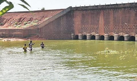 Cholavaram lake’s storage capacity may go up threefold