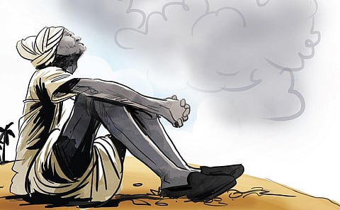 Water crisis squeezes cultivation to 29% in AP's Palnadu district