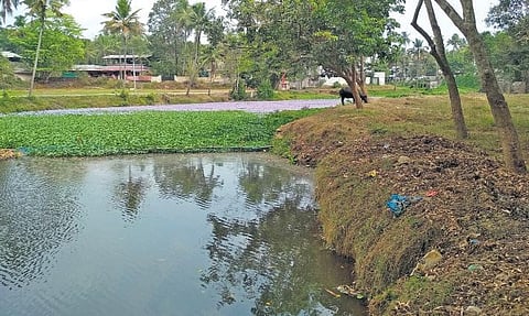 Manjaly Thodu in Angamaly connected the region to Muziris port