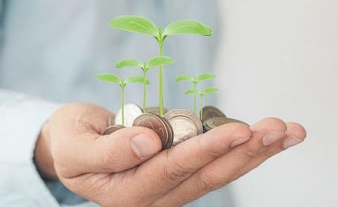 Spotlight on Small Cap Funds