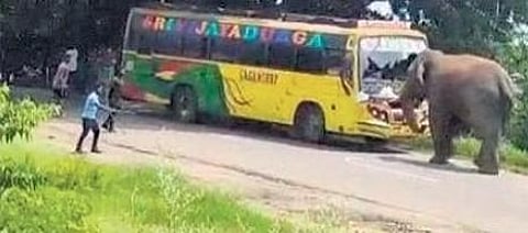 The tusker attacking the bus near Artham village in AP’s Paravathipuram | Express