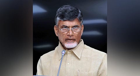 TDP national president N Chandrababu Naidu (Express)