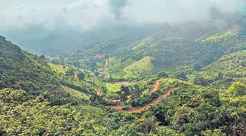 The hills of the east