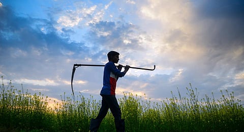The project, titled AI-powered Context-Specific Agromet Advisory Services for Climate-Resilient Agriculture at Scale, aims to equip smallholder farmers with hyper-local, actionable weather and climate insights.