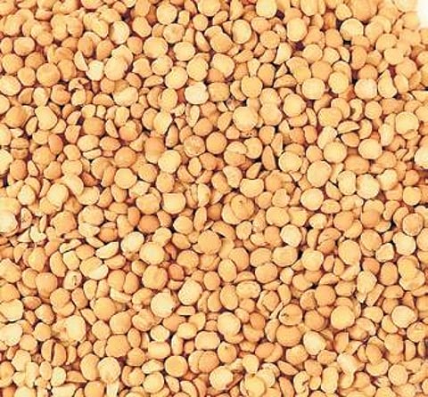 Illustration used for representational purpose only. (Express Illustrations)