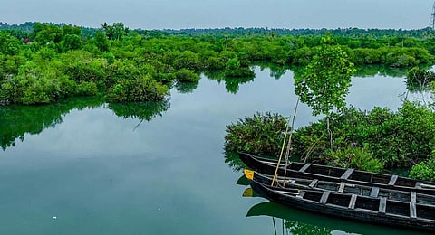 Munroe Island in Kollam: Courtesy | The LeeLa