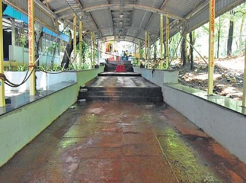 TTD seeks help from Wildlife Institute of India