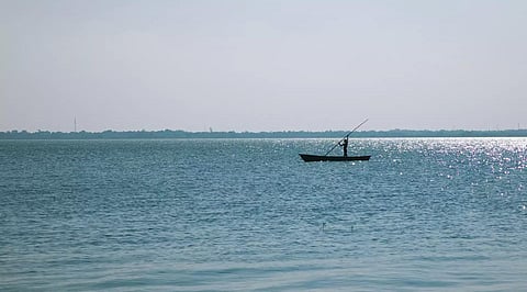 Veeranam lake located in Cuddalore district of Tamil Nadu. (TN Tourism)