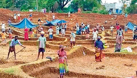 DWMA focuses on identifying NREGS works in Guntur