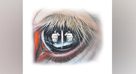 Express Illustrations used for representational purpose