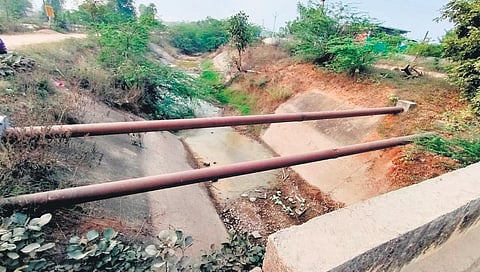 A dried-up canal in Suryapet district