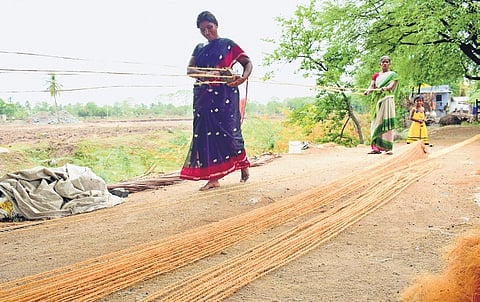 The policy plans to increase market demand for certified coir products and improve competitiveness of the coir industry | Express