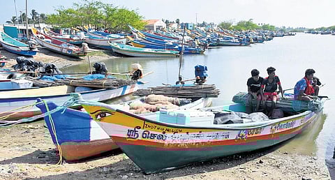 Tar balls were found in Pulicat Lake a few days after the oil spill in Ennore Creek. (Photo | D Sampath Kumar, EPS)