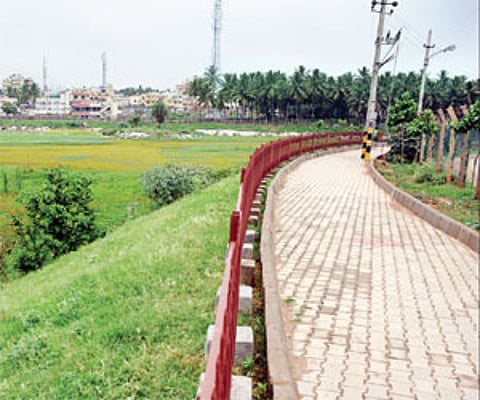 Image used for representation.