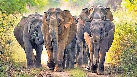 Image used for representational purposes.