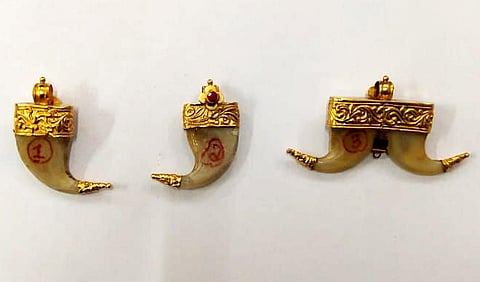 Tiger claws which have been given an ornamental touch recovered from Mysuru forest mobile squad in Mysuru in 2022. (File photo | Express)