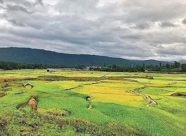 Ziro Valley