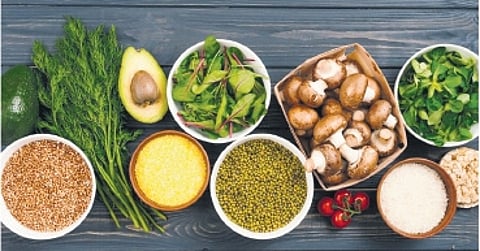 Experts shed light on the study’s findings and elucidate the association between consuming plant-based proteins and the aging process.