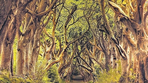 Image used for representational purposes.