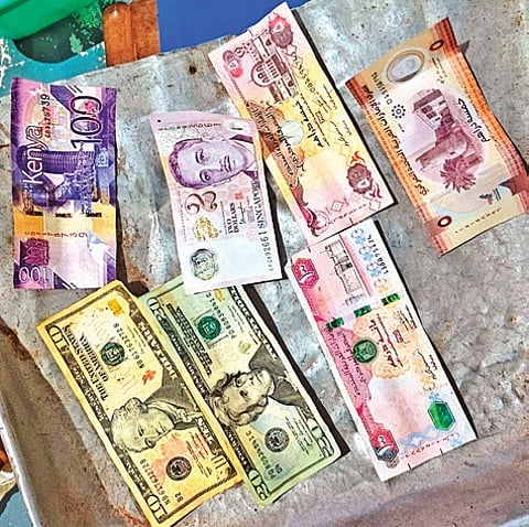 Foreign currencies of Kenya, Singapore, Saudi Arabia, UAE and other countries found in Yellamma Temple Hundi.