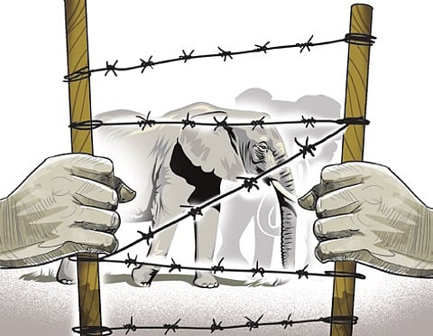 Image used for representational purposes only.