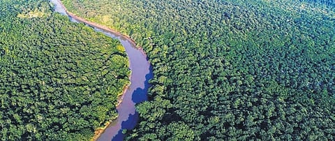 Bhitarkanika National Park