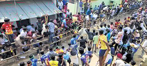 Erudhu Vidum Vizha at Panamadangi