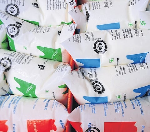 Image of Aavin milk packets used for representational purpose