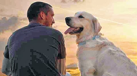 Representative Image.