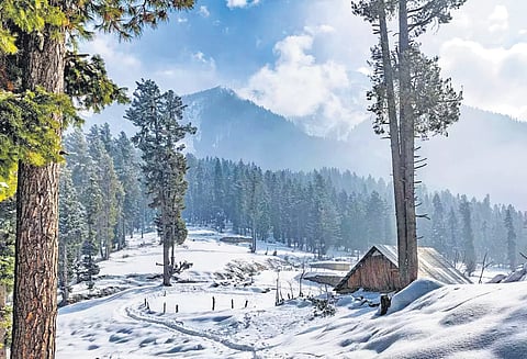 Sinthan Pass: Tourists make a beeline to this winter wonderland