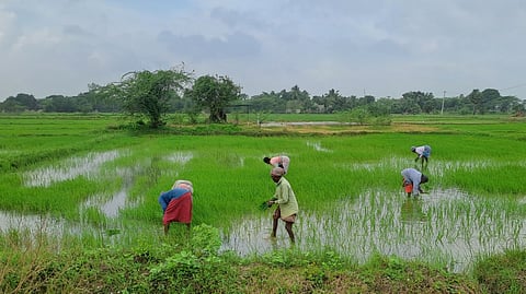 Image used for representational purposes.