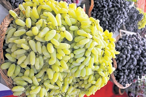 Image used for representational purposes only.