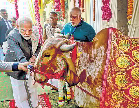 Prime Minister Narendra Modi offers prayers at a programme organised on the
occasion of Pongal festival in New Delhi on Jan 14, 2024.