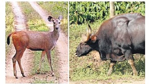 Image used for representational purpose