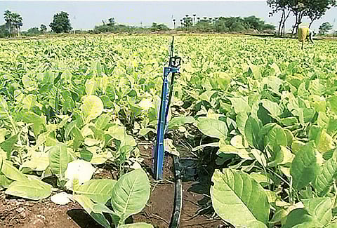 Image used for representation.