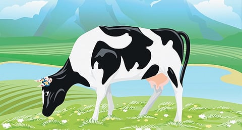 Image used for representational purposes.