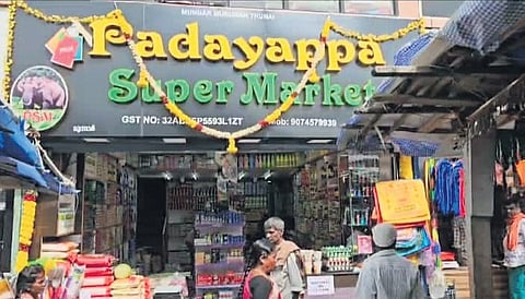 Wild & free, Padayappa is adding to Munnar’s allure