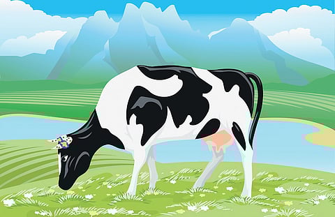 Image used for representational purpose