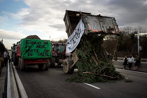 Farmers unload trees as they invade the motorway near Lyon.