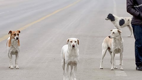 Image used for representational purposes.