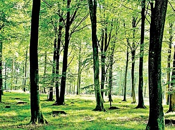 Image used for representation