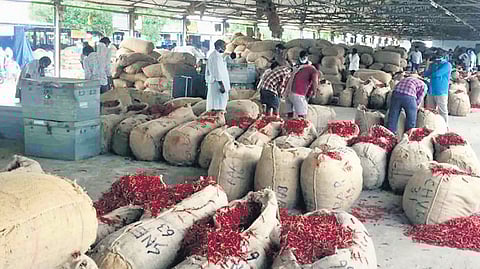 Guntur Chilli Market Yard to get a facelift with Rs 13 crore
