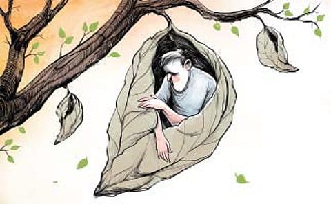 Image used for representation