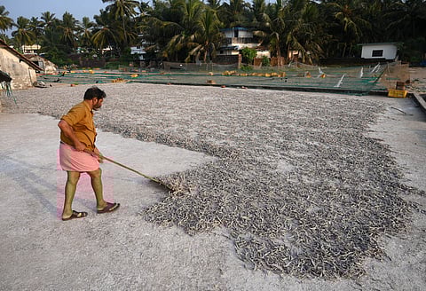 Image used for representational purpose only.